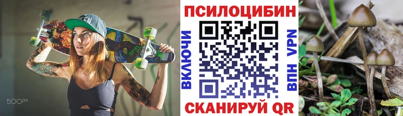 Псилоцибиновые грибы GOLDEN TEACHER  Купить где  Скопин 